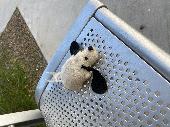 Found beanie baby sized stuffed dog, white with black ears, very worn. Laying on
