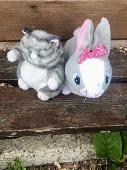 Two soft toys found at The Shoulder of Mutton Pub, Strumpshaw, left by the Petan