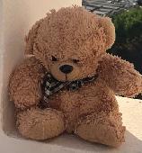 Lost Little Brown Teddy Bear with blue and white ribbon around his neck from sum
