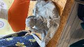 Small well loved rabbit comforter found in the surf shop in Dingle, Ireland. 