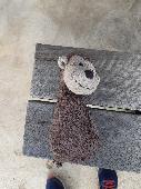 Toy monkey found on a bench at the twin waters park in worrigee. It has been the