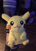 Hi, we lost Pikachu on 11th August on the Promenade in Aberystwyth and have a li
