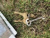 Found a set of keys on Tooting Bec Common - 3 keys (2 gold, 1 silver) with a gol