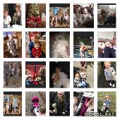 Please find bear bear, this is my granddaughter phoebe, with her bear bear... Ph