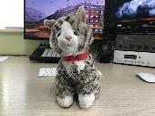 I found a grey Tabby cat from Hamleys