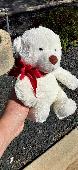 Found Friday, September 4 at 1:30 PM in the parking lot facing the river. He was