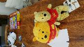 Winnie the Pooh Teddy. My boy had since 2 years old. He is now 8. Very upsetting