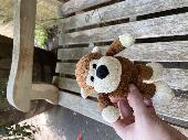 Found by the giraffe enclosure at the Cotswold Wildlife Park