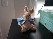 My son lost his bunny, a Peter Rabbit in a light blue jacket. A constant compani