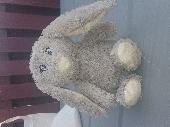 Found a grey fluffy bunny in chadderton Hall Park found near the football nets. 
