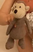 Lost Jellycat monkey. Either Blinco Grove, Cambridge or Linton Zoo. We think he 