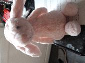 Found a jellycat bunny on the railings by the entrance to CPNSC. 
