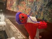 Lucy is a small red seal. She is pictures here with a hat, but is not wearing it