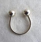Lost a steel keyring with two keys - one brass and one silver.