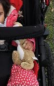 My little girl’s tan coloured soft toy bunny was lost today in Richmond Park som