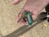 Set of keys found, on one of the paths leading towards the bandstand, three keys