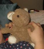 "Lost" teddy bear ????. He was in our hotel room when we went out but was not th