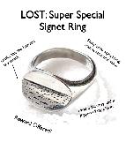 I lost a signet ring, quite unique - It has the horizon on it, like you're looki