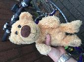 It’s a small beige teddy bear