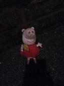Found Peppa Pig at Northgate bus stop near Sainsbury's at Kingsmead, Canterbury.