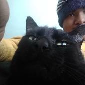 Lucky He is a loyal and black cat we have a strong connection and bond i had him