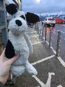 Daughter lost her jellycat dog today at Sainsbury’s-was seen on the floor by a m