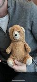 Left on a cross country train into aberdeen. Think he is still hiding on the tra