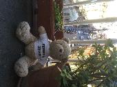 Primmy Bear was in a bag that was stolen in Bilbao. Some things were recovered,