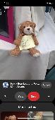 I have lost my bear and saw it posted on Pinterest page of this but I can’t get 