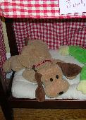 I lost my Doggy about six years ago in October or November 2014, in laundry whic
