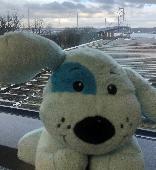 Lost teddy found by maintenance staff on the Queensferry Crossing. Hope we can r