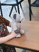My son has lost his teddy named teddy