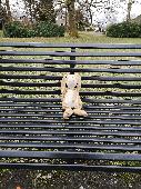 Lost cuddly bunny found near the East play park in King's Park, Glasgow. Moved i