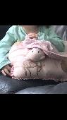 Lost teddy comforter. Pale pink with double barrelled name on it. Very sentiment