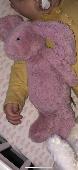 Daughters bunny lost in the new forest. Would love any information. Thankyou 