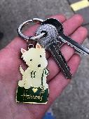 I found these keys close to Kensington Olympia on the 28th of March 2021 at arou