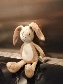 Small rabbit found on the floor at the crossing by Moss Brothers yesterday after