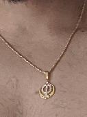 Lost a rope style chain with a S style lock on it. There was a pendant on it abo