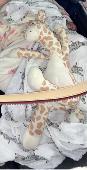 Hi, my little girl lost her giraffe in Trafford centre! And if anyone has kids y