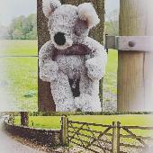 HELP I'm lost. I was in Merthyr Mawr, South Wales with my owner but unfortunatel