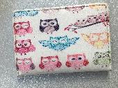 At about 4:30 I found an owl card carrier with Monzo and oyster card inside