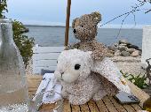 Our 3 year old lost her loved Teddy that has been with her since birth. We are a