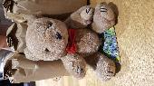 Small teddy found in grassy verge close to landmark trust chateau