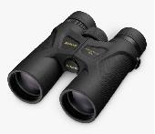 LOST Nikon binoculars in a black case. Possibly left on the beach opposite the B