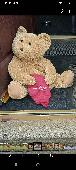 Sunday 27th June 21. Marsh way Wakefield West Yorkshire found teddy sat in the c