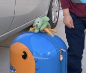 Son lost his green stuffed doggy. Last seen at the game room in the hotel at Myr