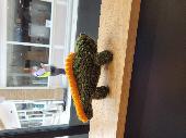 This dinosaur was left in Greg's. Looks to be hand made, so hopefully it can fin