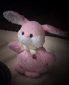 Please, Can You Help me? Have You seen this 3.5 inches Pink Plush Bunny? We lost