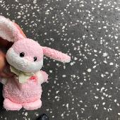 Please, Could You Help us? Have You seen this 3.5 inches Pink Plush Bunny? We lo