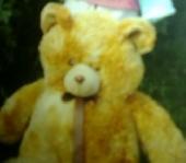 It is my lovely teddy bear . Now it is in old condition .My mom threw it in garb